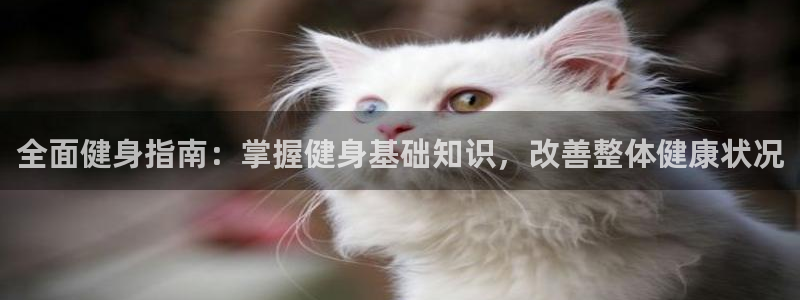 意昂2代理