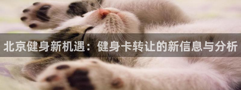 意昂2招商