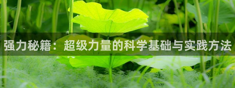 意昂2平台