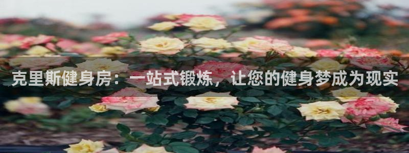 意昂2招商