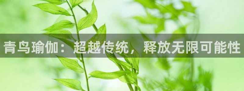 意昂2招商